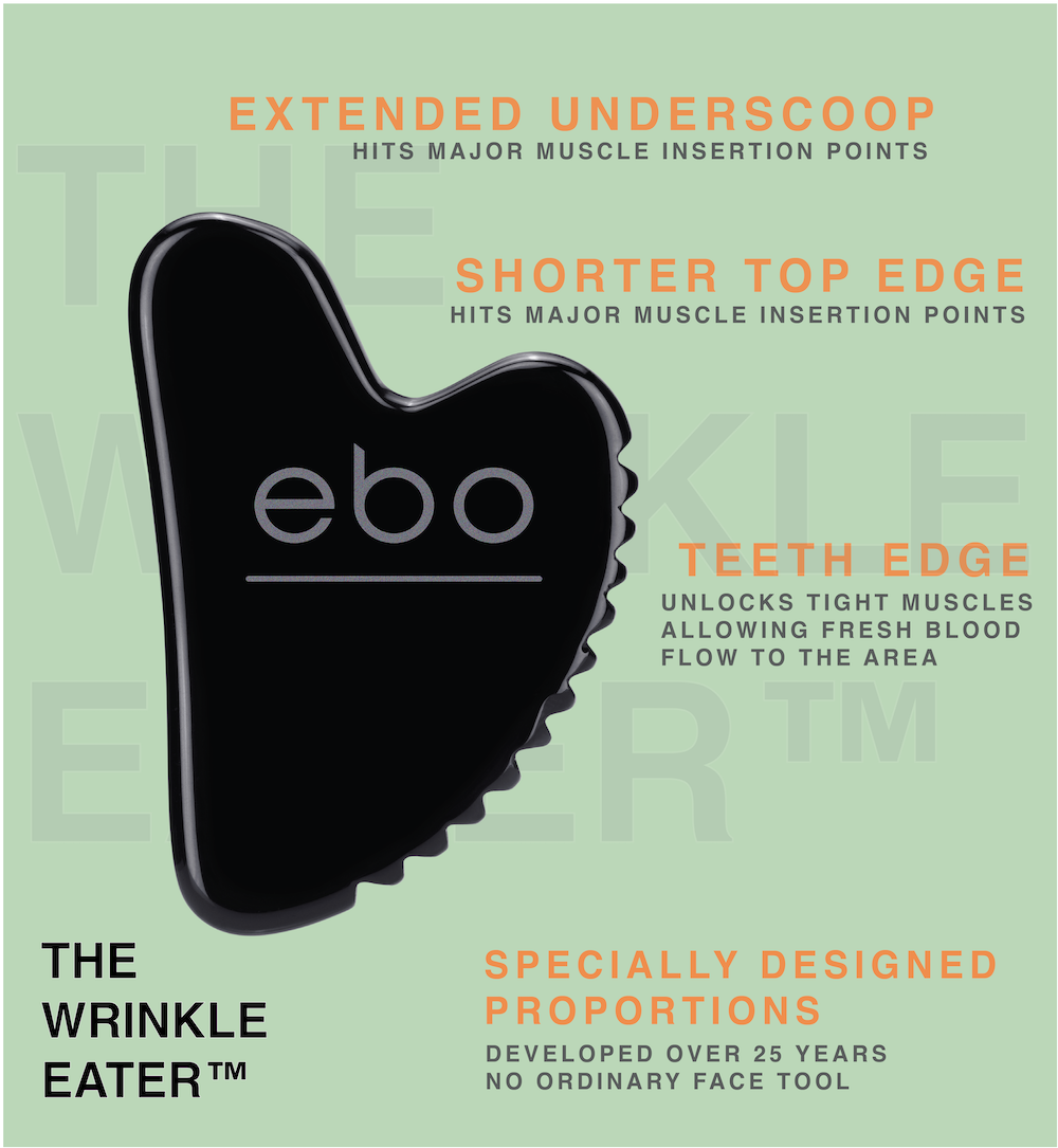 ebo face tool The Wrinkle EaterTM with a green background and text marking out the key elements of the tool: Extended Underscoop and Shorter Top Edge hit major muscle insertion points while the Teeth Edge unlocks tight muscles allowing fresh blood flow to the area. Specially Design Proportions. Developed Over 25 Years. No Ordinary Face Tool.