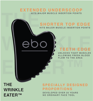 ebo face tool The Wrinkle EaterTM with a green background and text marking out the key elements of the tool: Extended Underscoop and Shorter Top Edge hit major muscle insertion points while the Teeth Edge unlocks tight muscles allowing fresh blood flow to the area. Specially Design Proportions. Developed Over 25 Years. No Ordinary Face Tool.