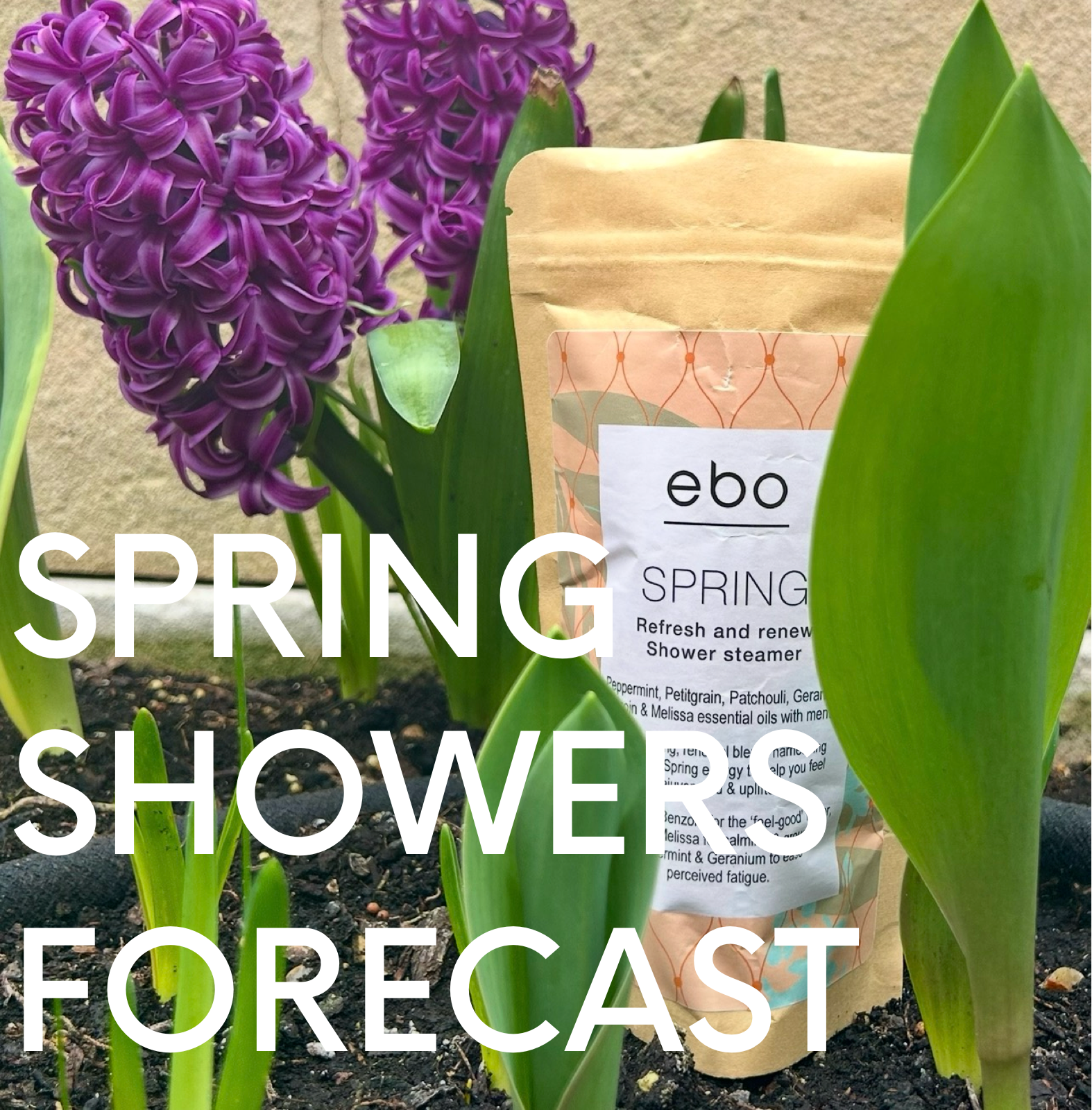 Spring Refresh + Renew Shower Steamer
