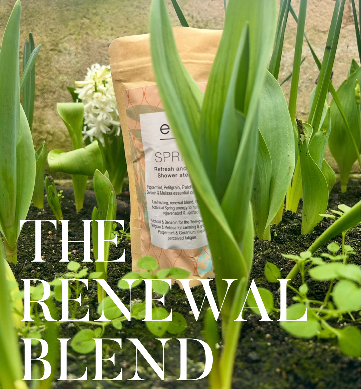 Spring Refresh + Renew Shower Steamer